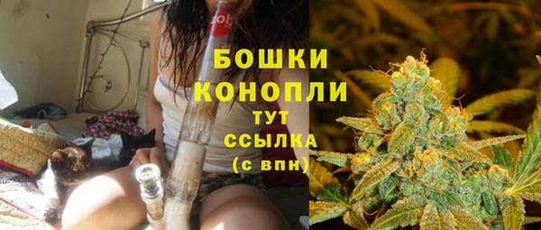 прущие крисы Вяземский