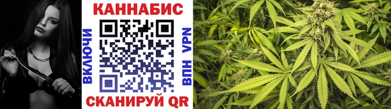Конопля план Чусовой